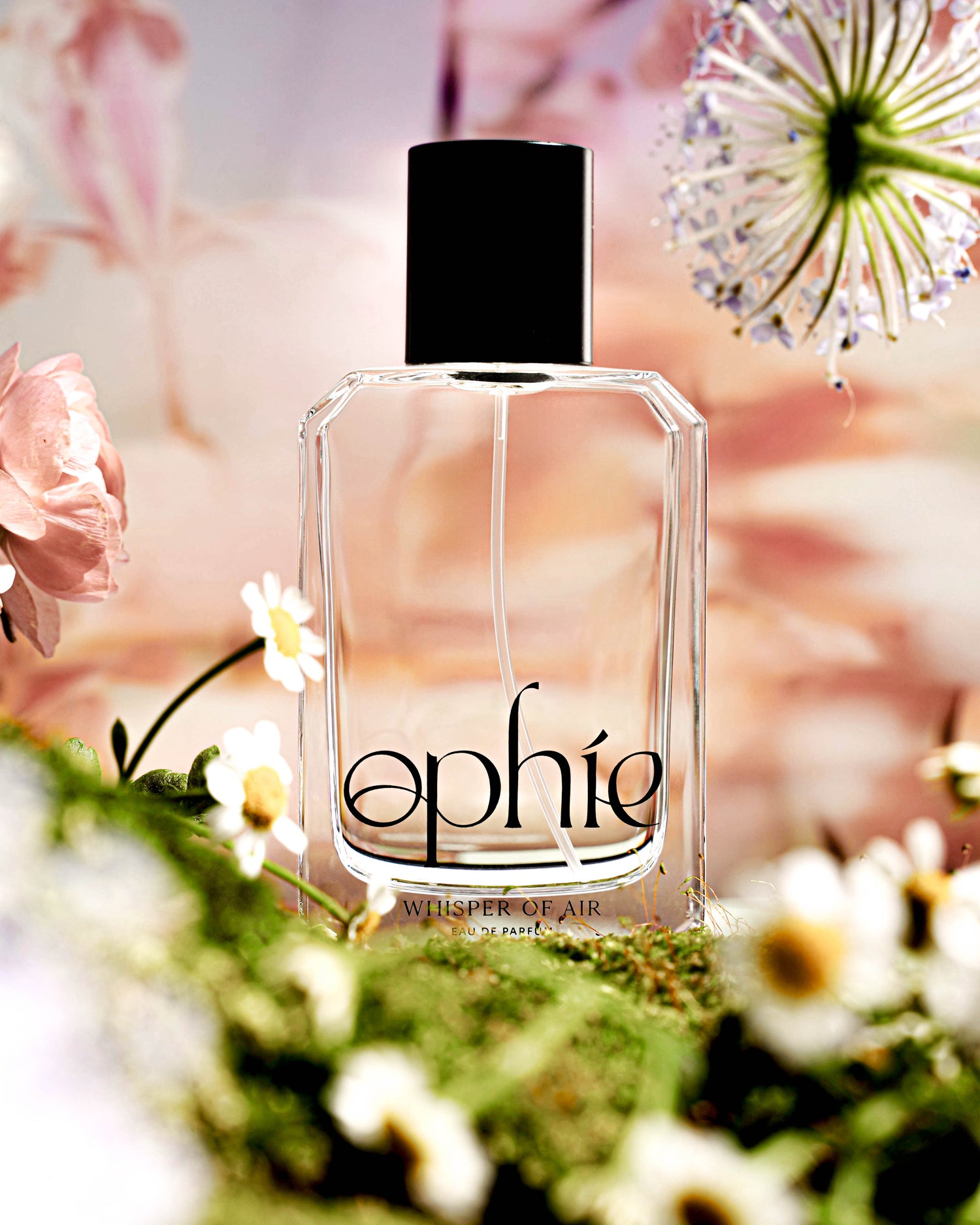 Image with text section