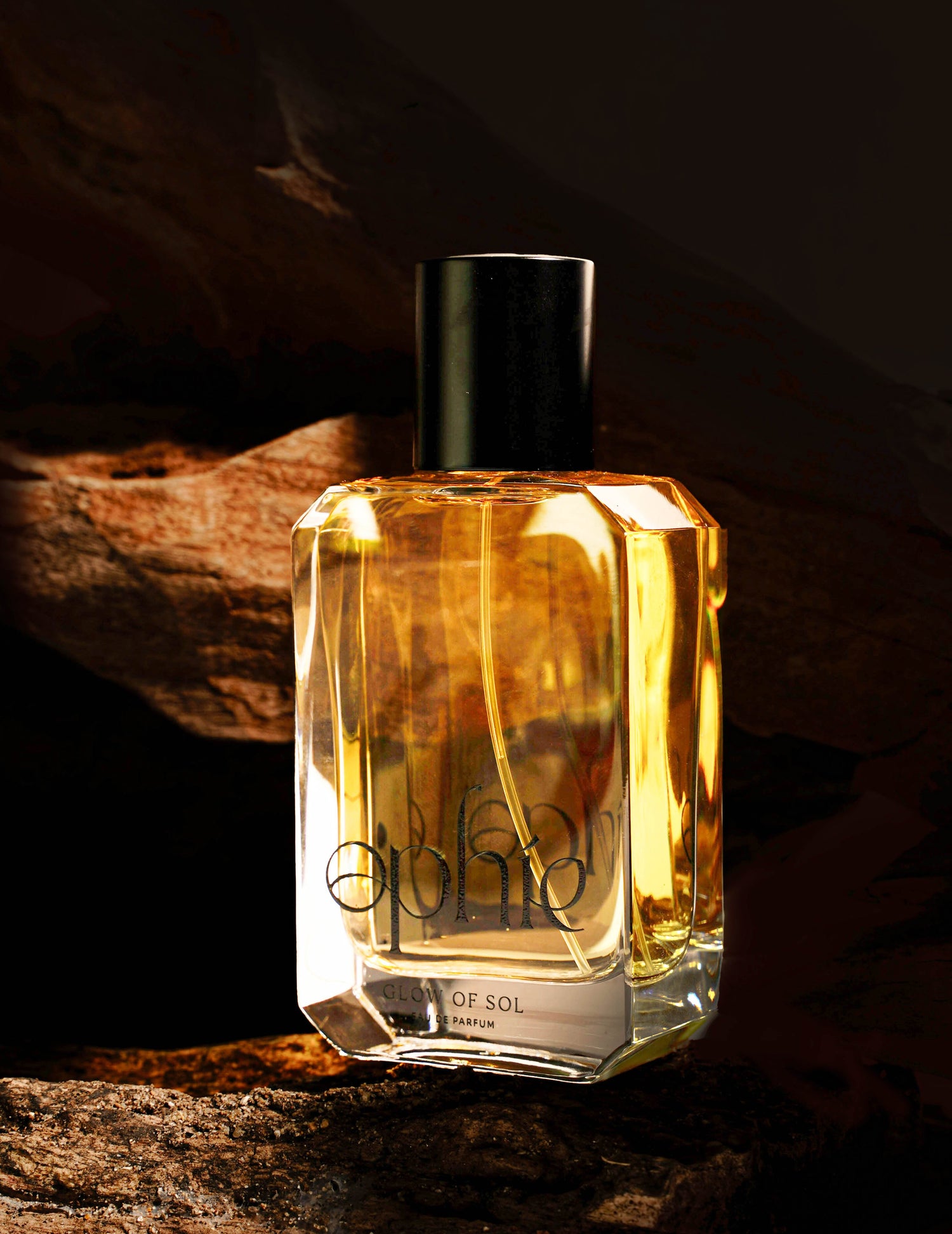 Image with text section