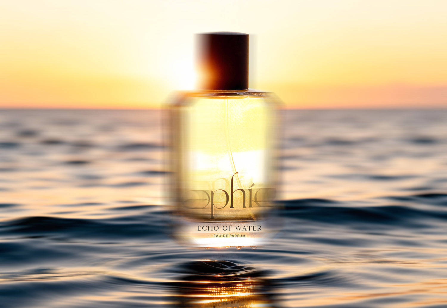 Image with text section