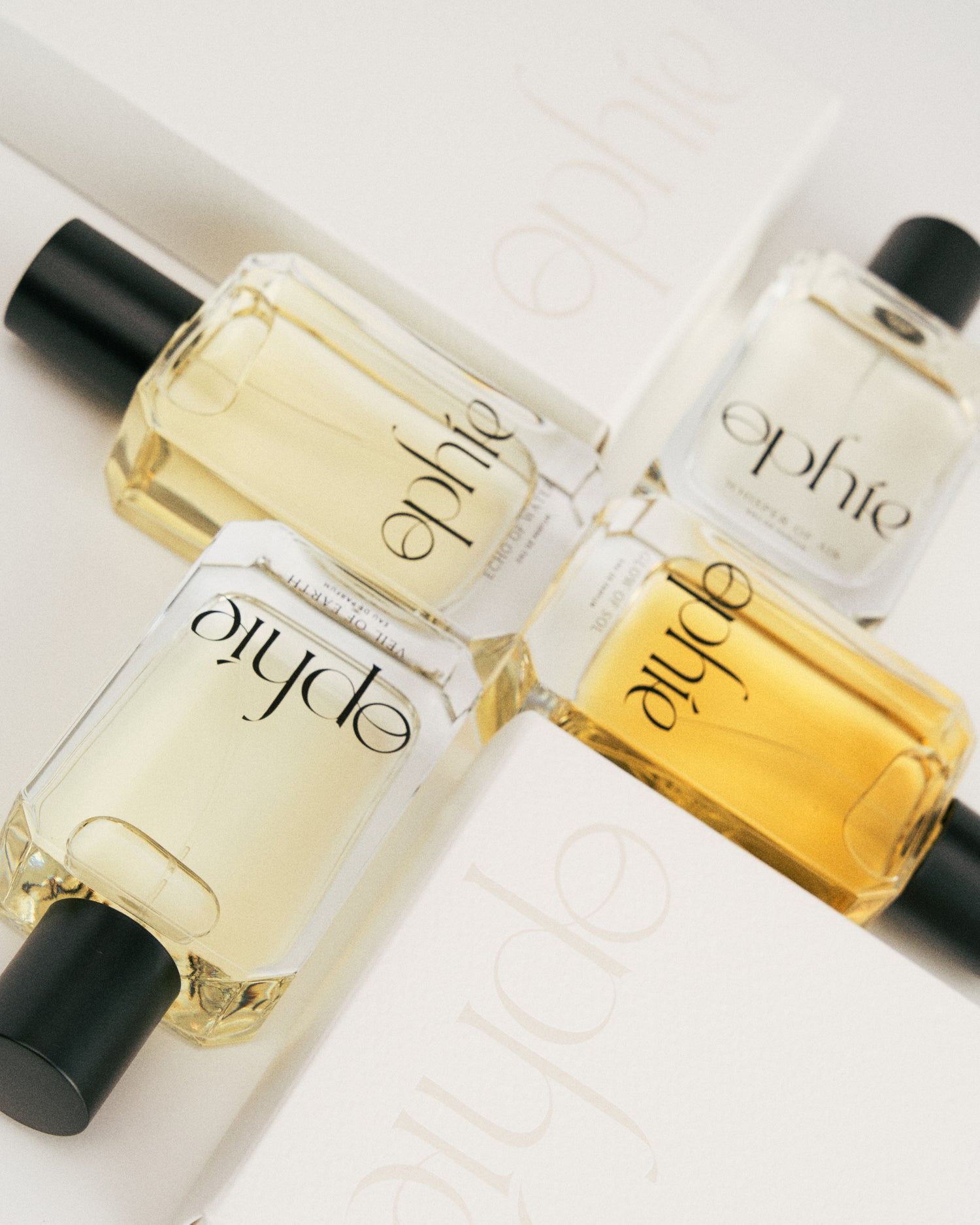 Image with text section