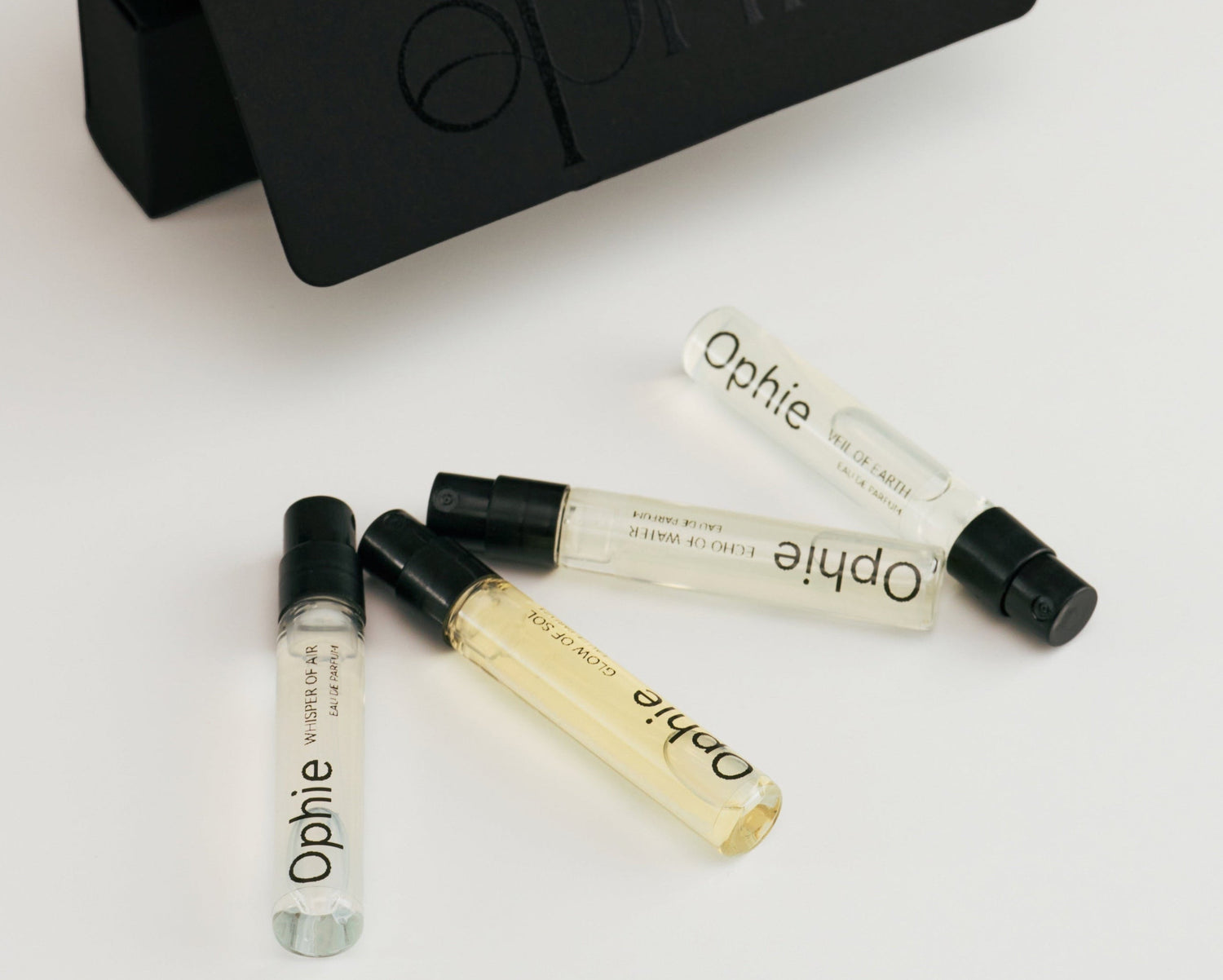 Image with text section